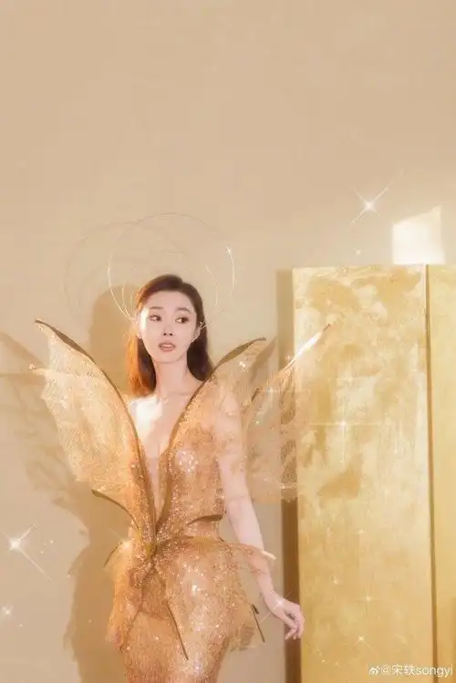 宋轶今天微博之夜的造型来了