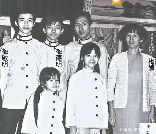 梅艳芳遗产风波:梅家母子为夺亿元,不惜透支梅姐名声