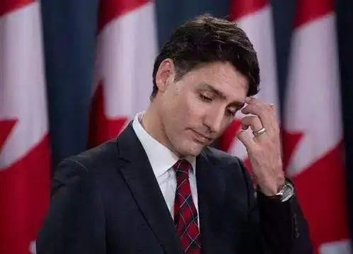 加拿大也乱了!上千人当街游行示威,高喊"黑人的命也是命!