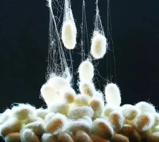 聚合物纤维在低温下会脆化,蚕丝却能够承受零下200度!