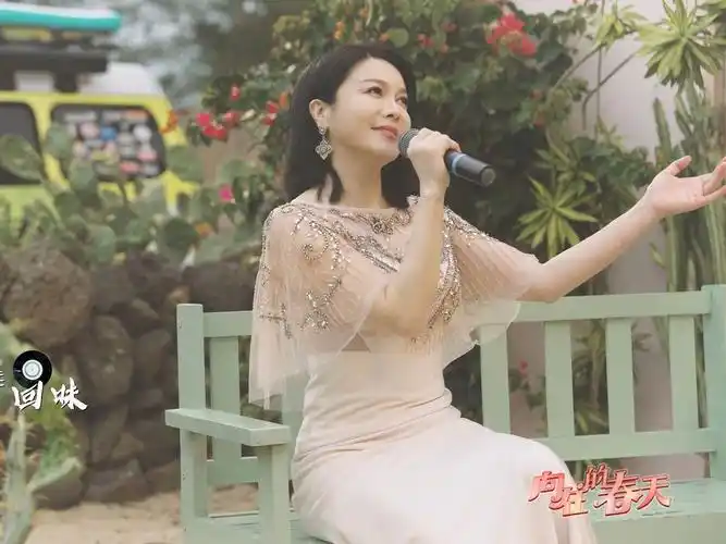 歌手颜佳欣 #2024海南春节联欢会 #向往的春天