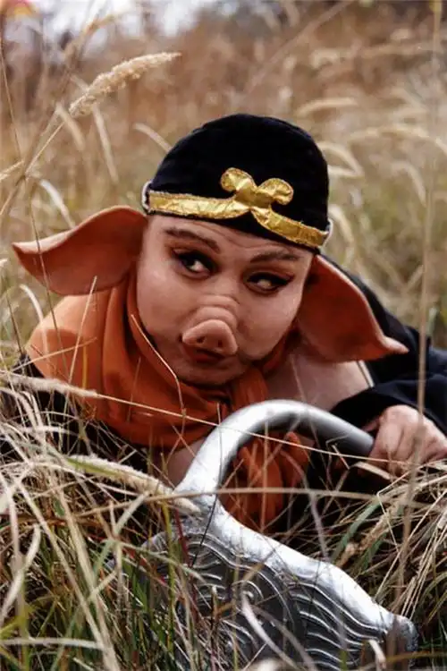 赵本山陨落背后真相_二胎 背后真相_西游记背后的真相