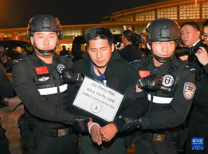 10名缅北重大犯罪嫌疑人被成功押解回国