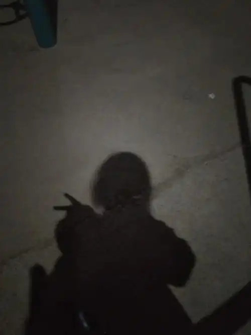 我的影子图好看吗