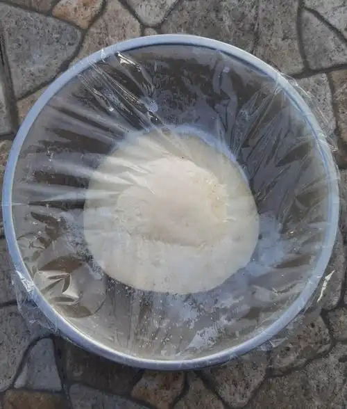 酵母菌发酵实验报告(做包子)—方一