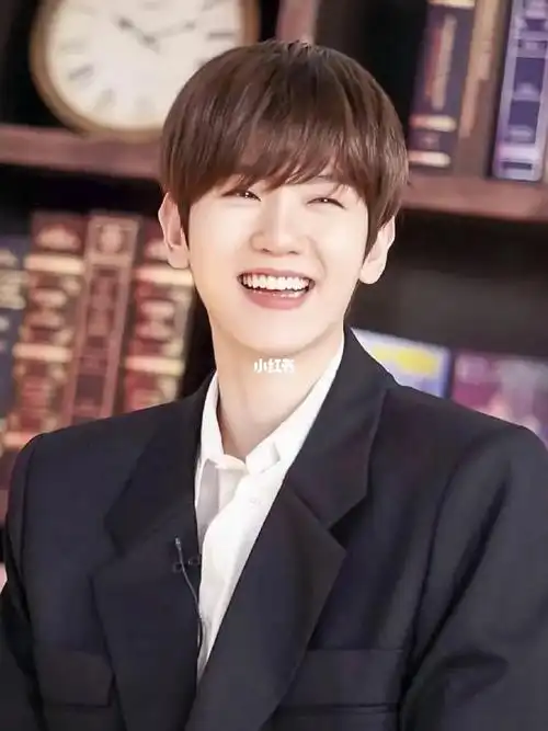 边伯贤理想型分析