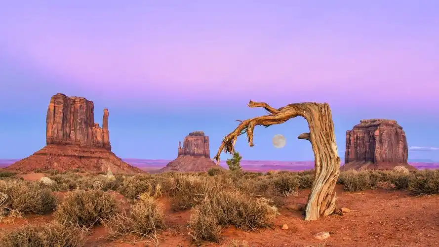 动物 自然景观壁纸【5】(风景静态壁纸) - 静态壁纸下载 - 元气壁纸