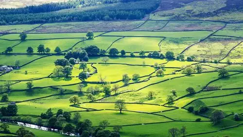 的转角处平原草地绿色养眼村庄安静风景大片壁纸封面图风景 自然景观