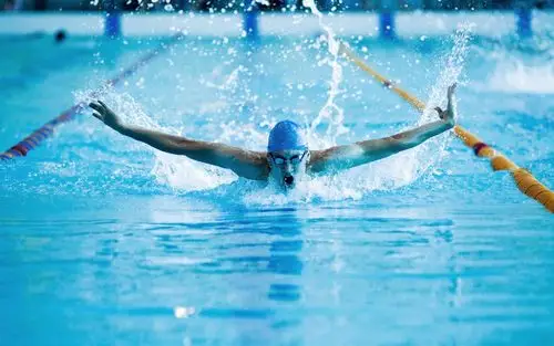 完美游泳运动员-2016运动高清壁纸