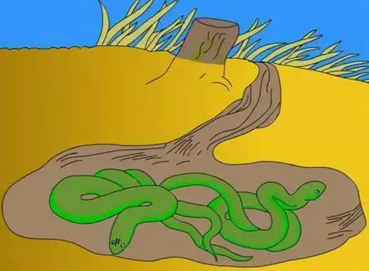冬眠蛇简笔画 冬眠蛇的简笔画