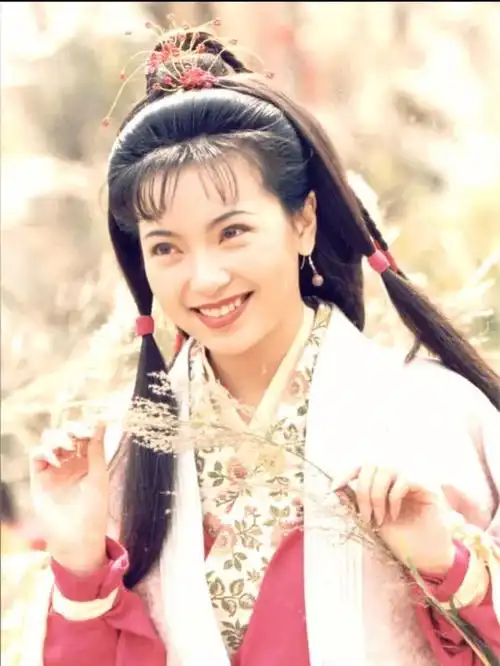 最经典的神雕侠侣最美的人儿