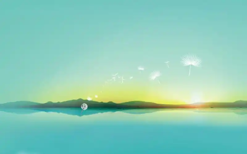 蒲公英唯美意境桌面背景图片-壁纸图片大全