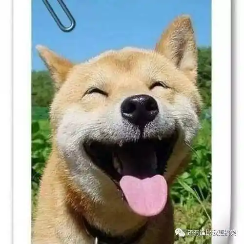 我有时候只刮一条腿的腿毛,这样躺下来的时候,让我感觉是和男人躺在一