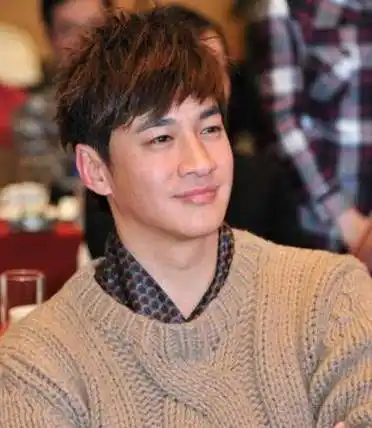 46岁何润东近照发福,与老婆相恋13年无子,自曝愿意尝试人工受孕_回应