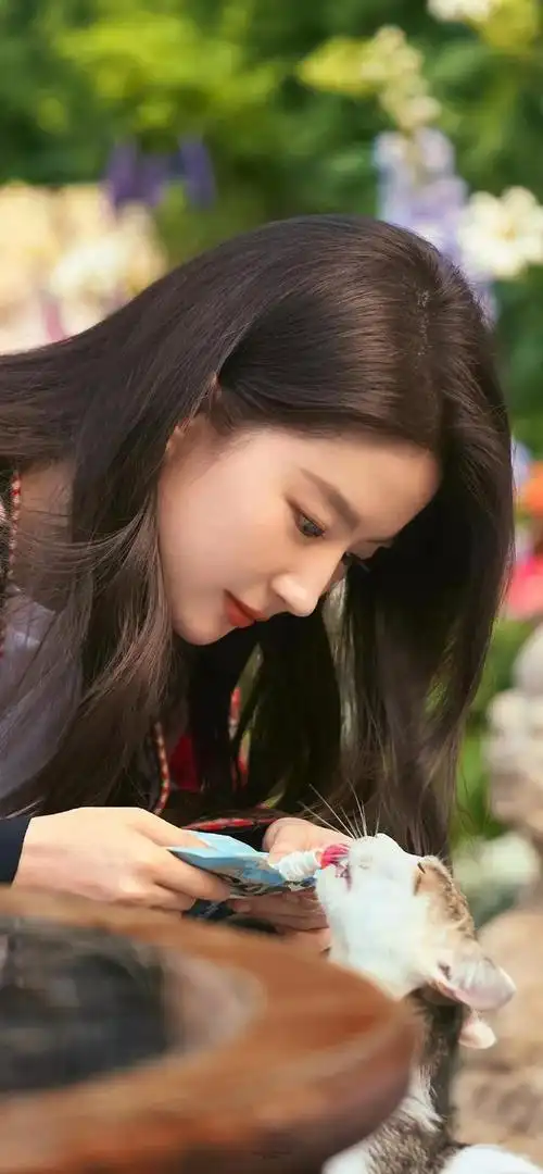 刘亦菲|去有风的地方,刘亦菲许红豆的高清精美壁纸