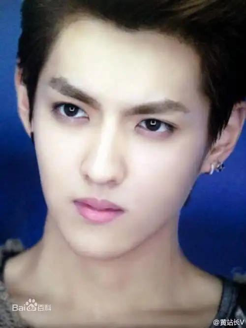 【吴亦凡词条图册_百度百科】吴亦凡(kris),1990年11月6日出生于中国