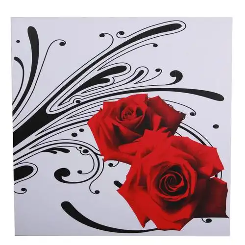 新视觉无框画 装饰画 工艺画 家具摆设《植物—铿锵玫瑰3》50*50cm yh