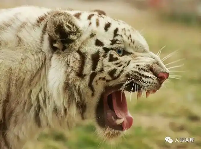 社保缴费单位请抓紧时间变更为银行缴费