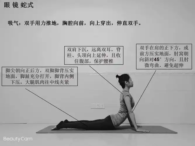 瑜伽拜日式图解