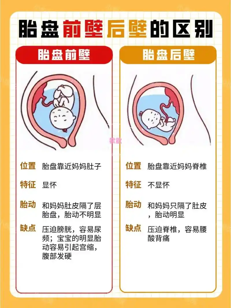 如何判断胎盘前壁/后壁,子宫前位/后位 这个一般在医院做b超时,b超