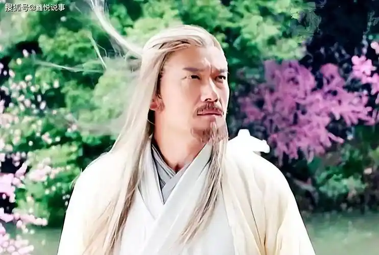 在《射雕》中,黄药师使用过一次自己的护体真气.