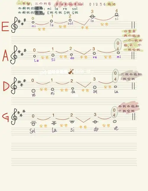 小提琴一手型四根弦对应五线谱的位置