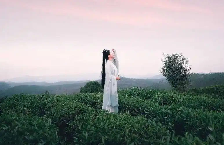 王阳明:天道,地道,人道的奥秘_是一种_人生_自律