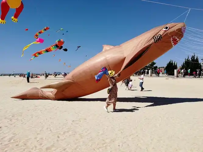 特大超重的大鱼风筝,缓缓升起.