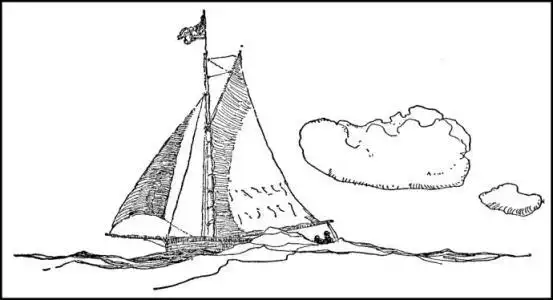 神秘岛精彩片段简笔画