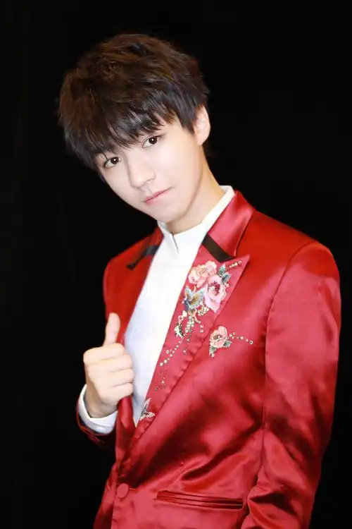 王俊凯×2018.02.15央视春晚×cr:logo