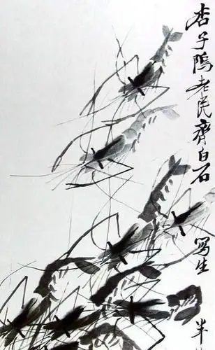 齐白石虾趣图赏析