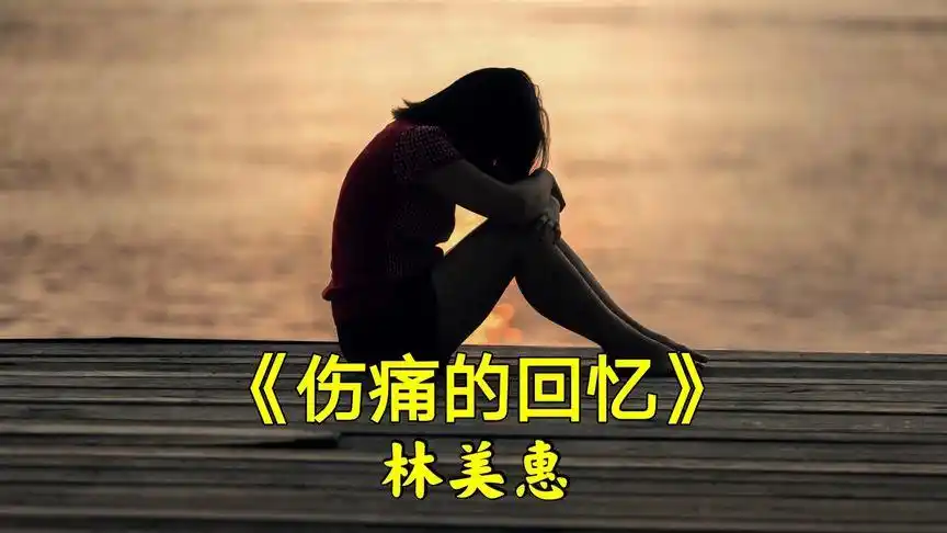 林美惠经典歌曲伤痛的回忆唱哭了多少有情人伤感好听的歌