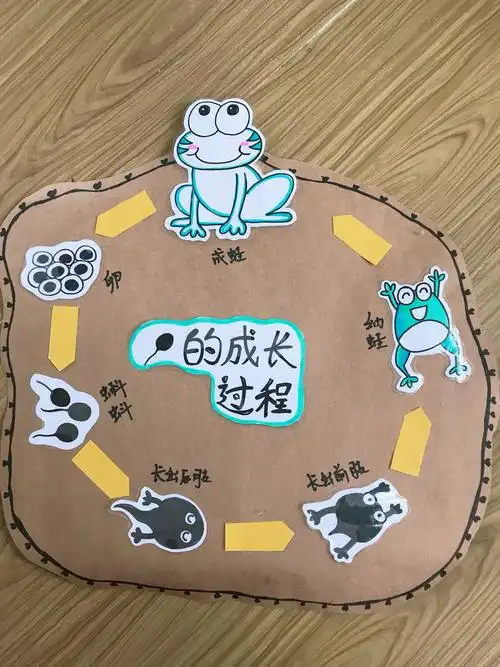 小蝌蚪的生长过程图解!