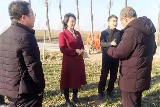 2月20日,邢台市任泽区委书记杨蕾先后到农管委,西固城镇,永福庄乡