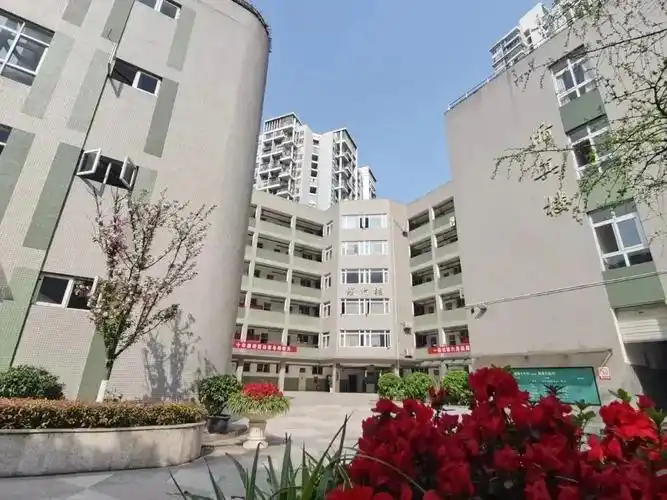 锦江区——成都第十七中学