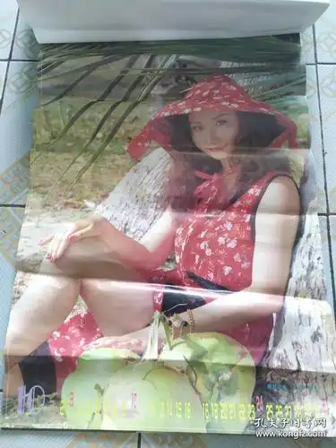 1993年南国风美女泳装挂历13张全