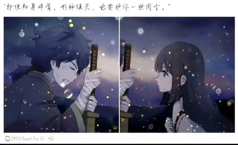 即使粉身碎骨,型神俱灭,我也要护你一世周全.