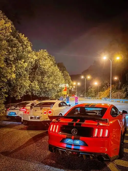 战神gtr   #野马mustang  #718cayman  #男人的快乐