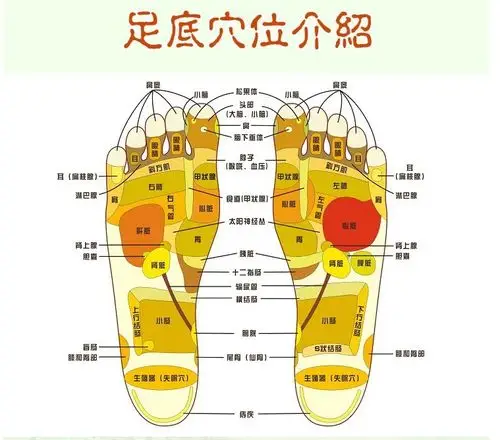 磁疗加玉石穴位足底木质按摩拖鞋 保健脚底按摩器 足底按摩