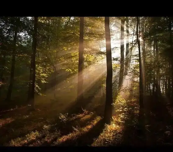 3个要点拍出"耶稣光"