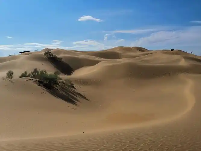 内蒙草原沙漠行