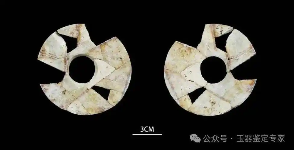 新鲜出土的玉凤首次亮相!