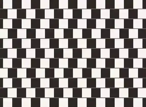 5张让人产生幻觉的错觉图,据说智商200以上才能看懂