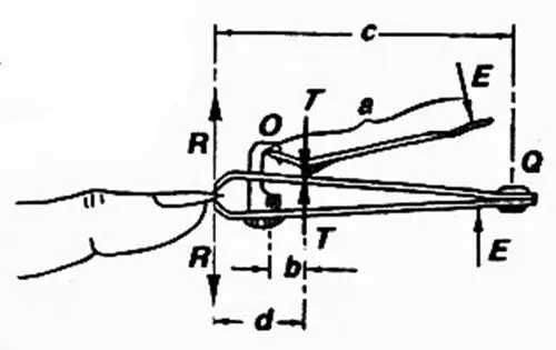 杠杆原理:指甲钳的魔法
