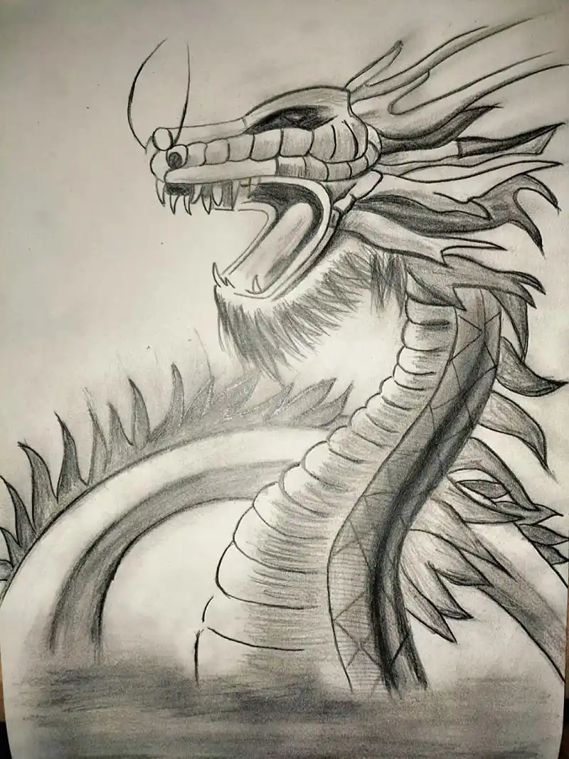 素描:龙 素描画龙 93 工具:2b铅笔,橡皮擦,画纸