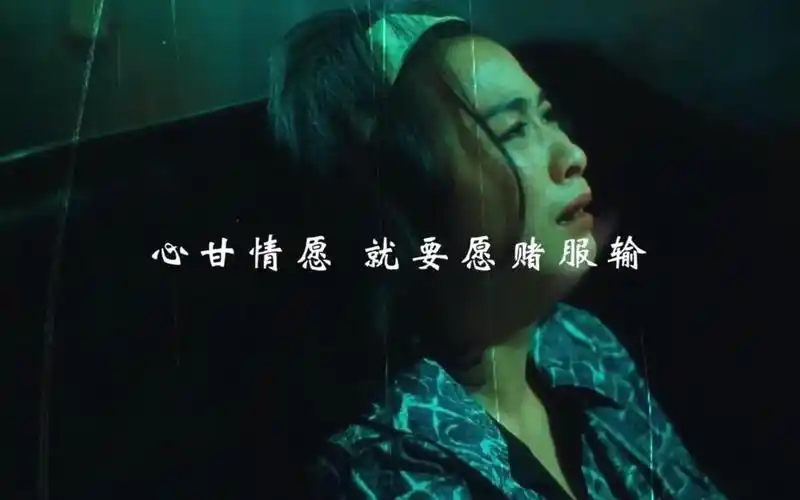 "心甘情愿,就要愿赌服输!