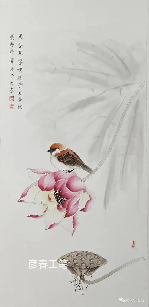 画家专栏 │楚彦春——复古风情 工笔花鸟_作品展