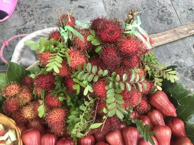 红牡丹,也称毛荔枝~尝了一口,有点涩,不甜,和荔枝差远了