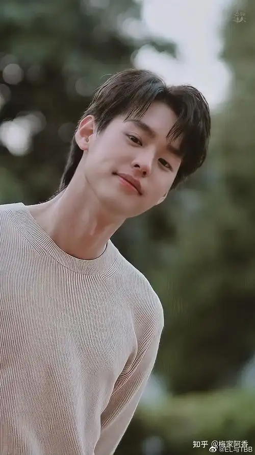 你觉得泰国男明星的颜值天花板是谁?