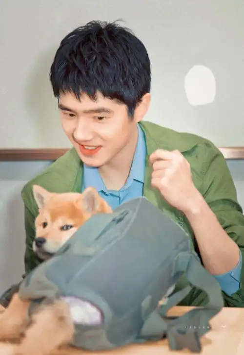 可爱小刘(刘昊然